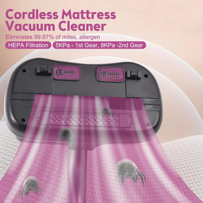 Household Vacuum Cleaner